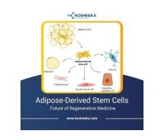 Adipose-Derived Stem Cells Future of Regenerative Medicine