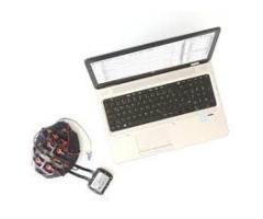 Portable EEG Device
