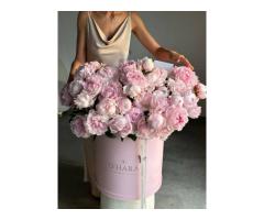 Peony Roses Dubai The Bloom Everyone s Falling in Love With - 2