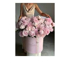 Peony Roses Dubai The Bloom Everyone s Falling in Love With - 3