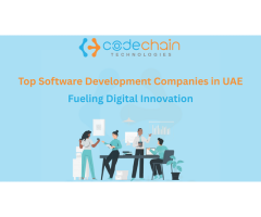 Software development companies in the UAE