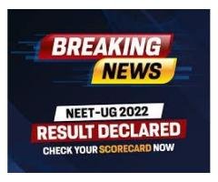 Stay Ahead of the Headlines with BreakingNews