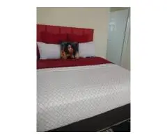 Lovers Way Guest House Retreat near Sasol Riviera Park Mafikeng - 4