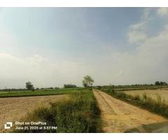 Authority Plot Available for sell in Noida Greater Noida Yamuna Expressway - 2