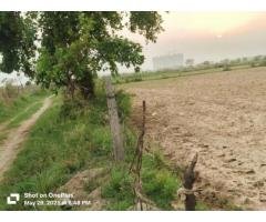 Authority Plot Available for sell in Noida Greater Noida Yamuna Expressway - 5