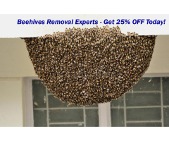 Pest Control Just 30 Min Away - 2