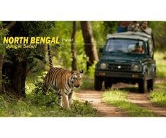Explore Misty Mountains and Tea Gardens North Bengal Tour Package Awaits - 4