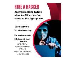 Hire a hacker Funds Recovery Expert