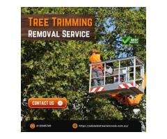Affordable Tree Trimming Removal Service by Adelaide Tree Removals