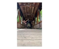 Yoga in Dunwoody - Elementyogaatl - 5