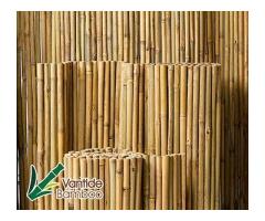 Bamboo Stakes Supplier - Vantidebamboo - 3