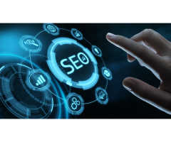 Illinois SEO Services Rank & Scale From 295/Month