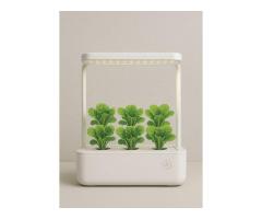 Aesthetic Fountain Hydroponic Units for Modern Decor - 2