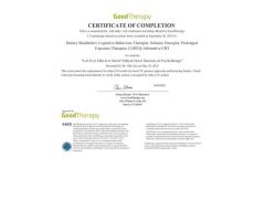 Online Psychotherapist CBT, Schema Therapy Effective Help for Anxiety, Depression, PTSD - 2