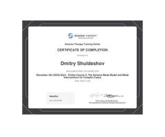 Online Psychotherapist CBT, Schema Therapy Effective Help for Anxiety, Depression, PTSD - 3