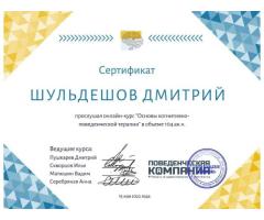 Online Psychotherapist CBT, Schema Therapy Effective Help for Anxiety, Depression, PTSD - 9