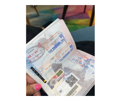 Obtain the best High Quality undetected Documents - 2