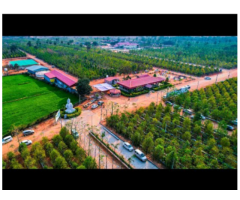 Open plots for sale with sandal wood - 6