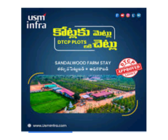 Open plots for sale with sandal wood - 7