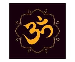 Get your love back specialist astrologer pandit ji