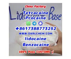 Lidocaine Benzocaine Procaine raw Powder  -6 Factory Price - 5