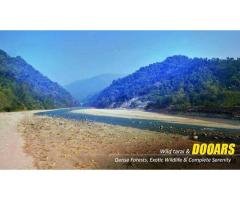 Dooars Tour with Jaldapara Elephant Safari Memories That Stay Beyond the Journey