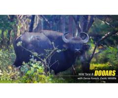 Dooars Tour with Jaldapara Elephant Safari Memories That Stay Beyond the Journey - 2