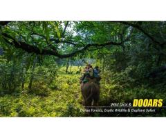 Dooars Tour with Jaldapara Elephant Safari Memories That Stay Beyond the Journey - 4