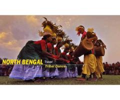 North Bengal Tour Package from Kolkata A Perfect Blend of Nature and Culture - 6