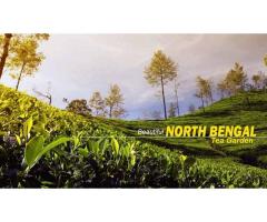 North Bengal Tour Package from Kolkata A Perfect Blend of Nature and Culture - 7