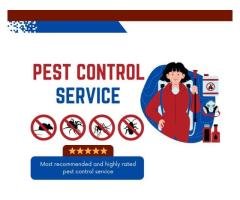 Reliable Pest Control Solutions In Austin