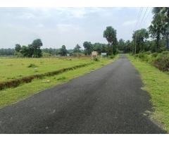 Kinathukadavu DTCP approval land for sale in coimbatore