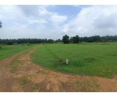 Kinathukadavu DTCP approval land for sale in coimbatore - 2