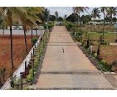 Buy Plot in Sarjapur - 5