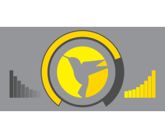 Nulled - WPMU DEV Hummingbird Pro v