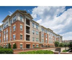 1Bedroom And 1Bathroom Apartment