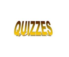 Looking for Quality Entertainment - 4
