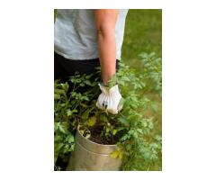 Keep pets happy, healthy, and looking their best with the Pet Grooming Glove - 2