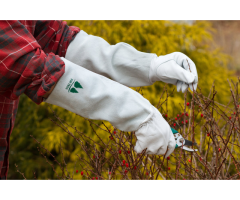 Keep pets happy, healthy, and looking their best with the Pet Grooming Glove - 3