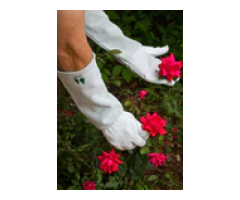 Keep pets happy, healthy, and looking their best with the Pet Grooming Glove - 4
