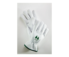 Keep pets happy, healthy, and looking their best with the Pet Grooming Glove - 5
