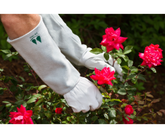 Keep pets happy, healthy, and looking their best with the Pet Grooming Glove - 6