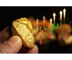 Trusted Gold Stablecoin for Wealth Protection