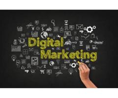 Why Your Business Needs a Digital Marketing Agency in Delhi Today