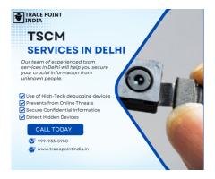 Protect Your Data with TSCM Services in Delhi - 2