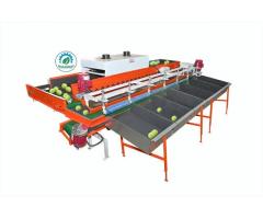 Best Quality Guava Sorting & Grading Machine Leading Manufacture India