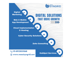MAASI Syngrid - Digital Solutions That Drive Growth