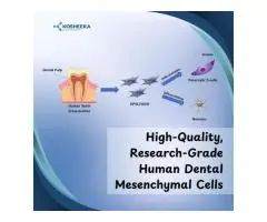 High-Quality, Research-Grade Human Dental Mesenchymal Cells
