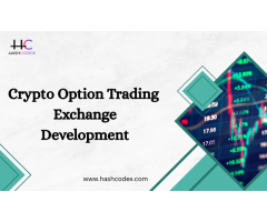 Hashcodex Builds End-to-End Crypto Options Trading Platforms