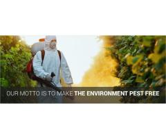 Low Cost n Best Quality Asian Pest Control